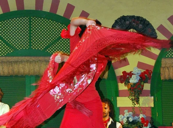 Workshop Flamenco Dansen in Haarlem Workshop Flamenco Dansen in Haarlem