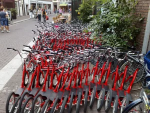 Step Speurtocht in Haarlem